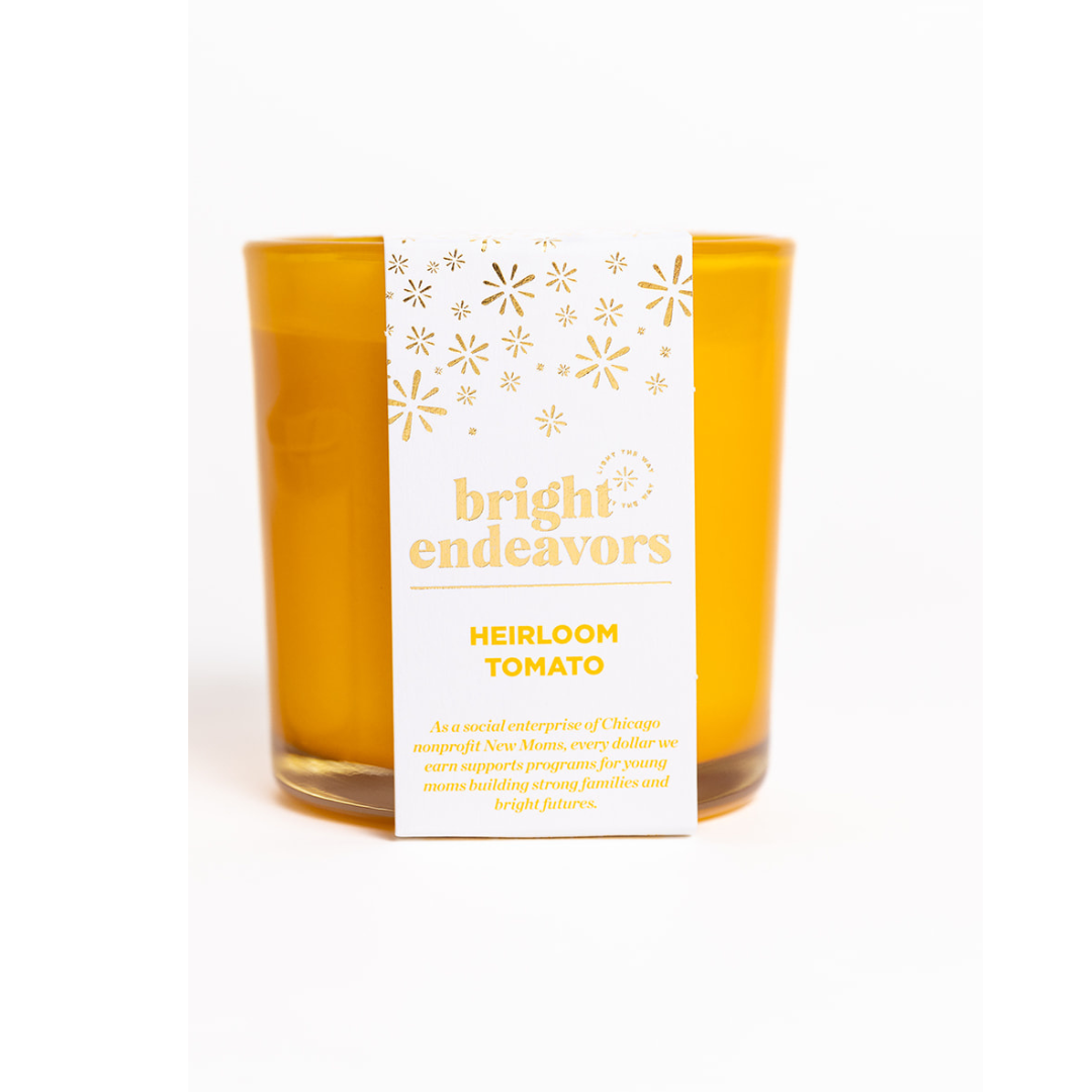 Bright Endeavors Wild Fig Candle (Copy)