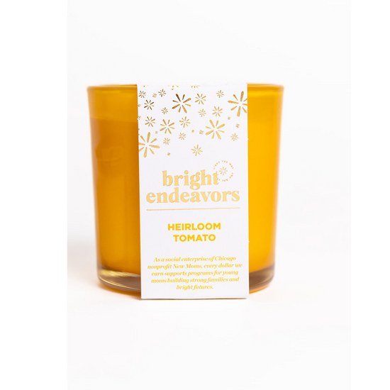 Bright Endeavors Wild Fig Candle (Copy)