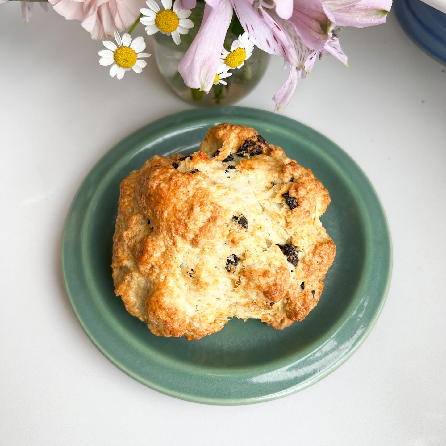 Irish Soda Bread Scone